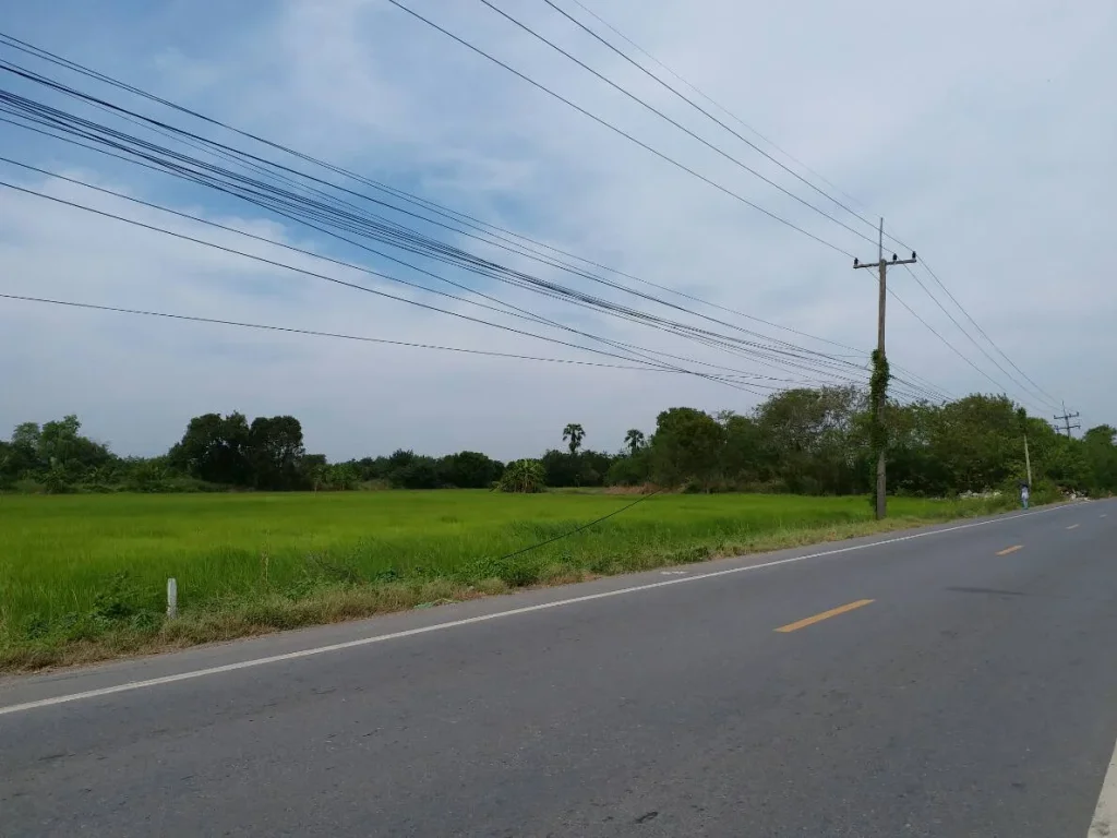 ขายที่ดินติดถนนลาดยาง คลอง10 ธัญบุรี-ลำลูกกา ราคาถูก 2 ไร่