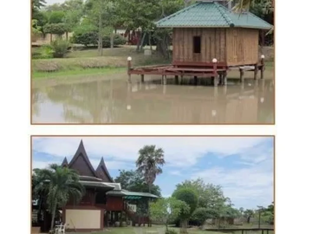 ขายด่วน บ้านเรือนไทย ตำบลชะอำ อำเภอชะอำ จังหวัด เพชรบุรี ราคา 26ล้านบาท เท่านั้น