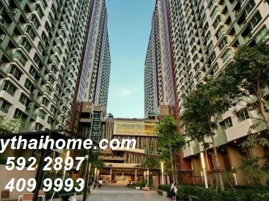 คอนโดขาย Lumpini Park Riverside Rama 3 Size 64 SQM 2 bed2 bath Floor 7 พระราม 3 ซอย 28 บางโพงพาง ยานนาวา 2 ห้องนอน พร้อมอยู่ ราคาถูก