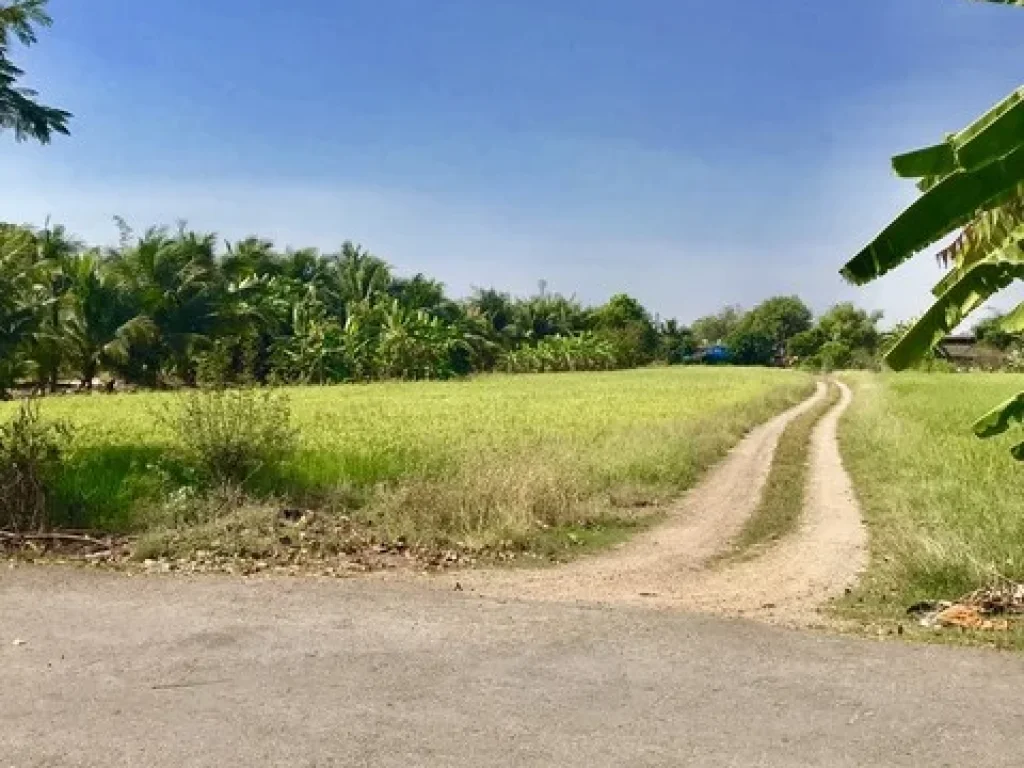 ขายด่วนที่ดิน 60 ไร่ คลองสิบ หนองจอก กทม ใกล้กับหมู่บ้านสวัสดิการแลนด์