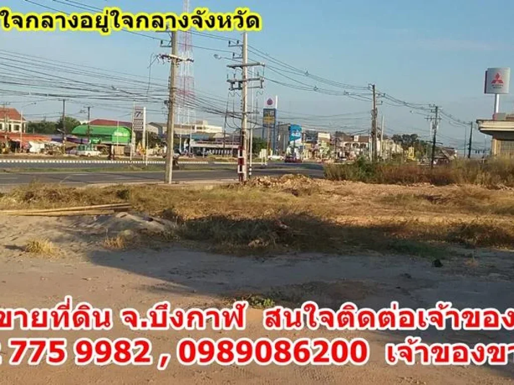 ขายที่ดิน จบึงกาฬ ราคาถูก เจ้าของขายเอง