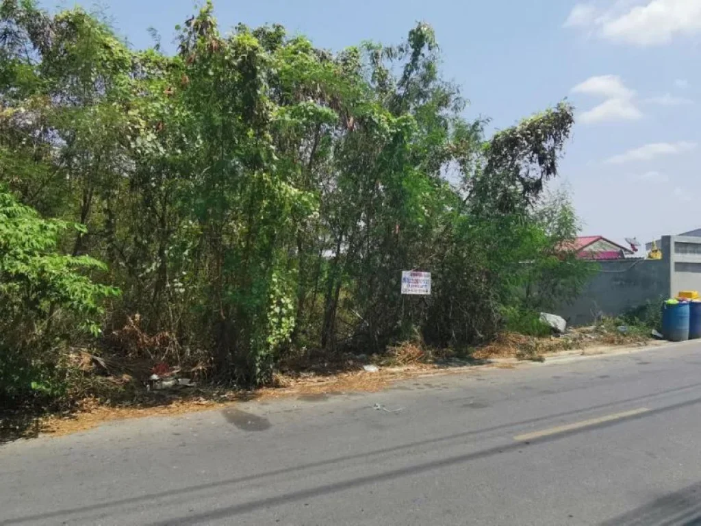 ขายที่ดิน ซอยลำโพ49 บางบัวทอง นนทบุรี