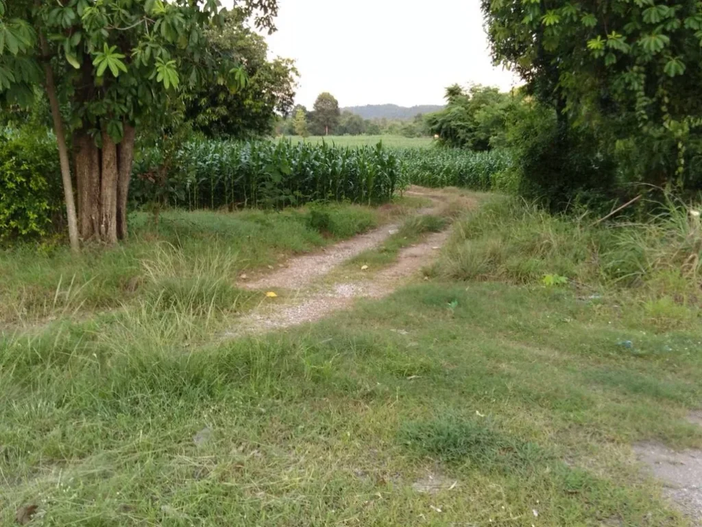 ที่ดิน ติดถนนใหญ่สาย พิษณุโลก- อุตรดิตถ์