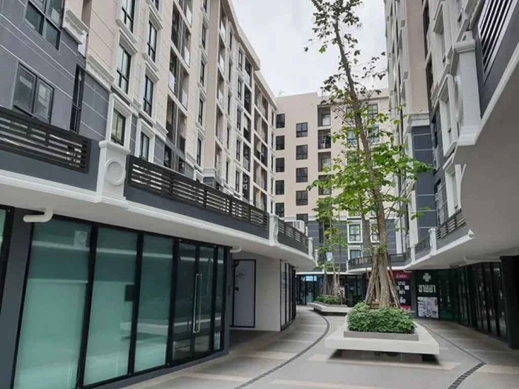 ให้เช่า PLUM CONDO CHAENGWATTANA Phase 3 ห้องมุมขนาด 23 ตรม