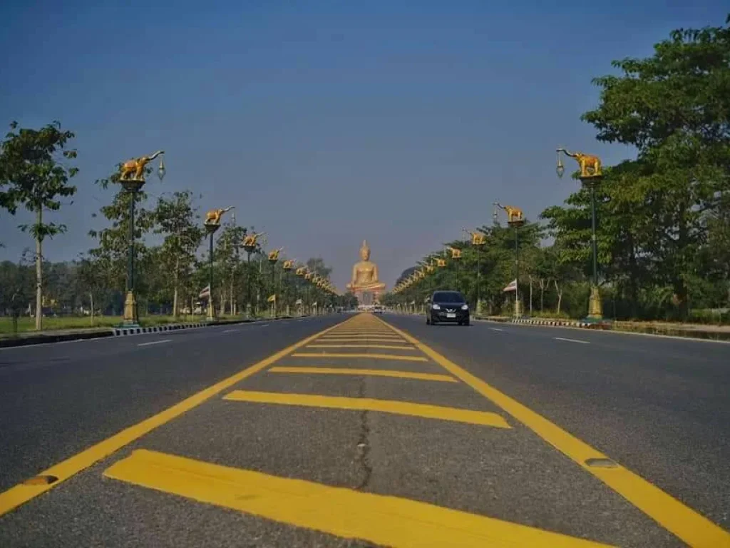 ขายที่ดินโฉนด 5ไร่ 2งานเศษ ติดถนนหน้าพระใหญ่ วัดพิกุลทอง สิงห์บุรี