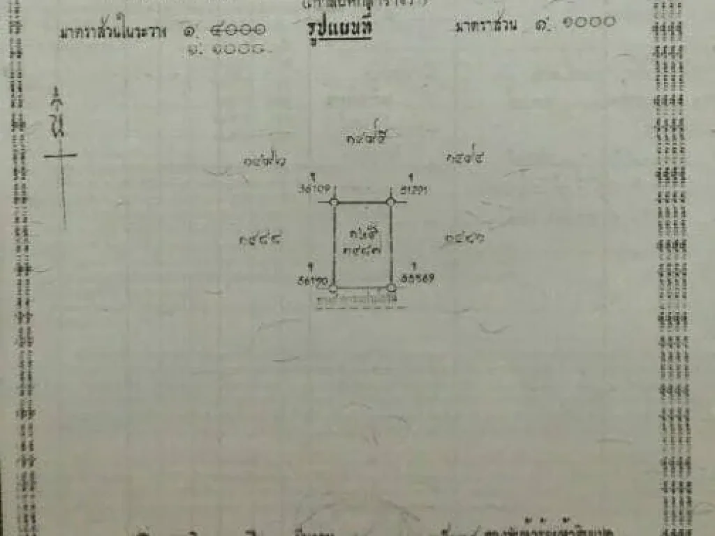 ขายที่ดิน 96 ตรว เจดีย์หัก เมืองราชบุรี