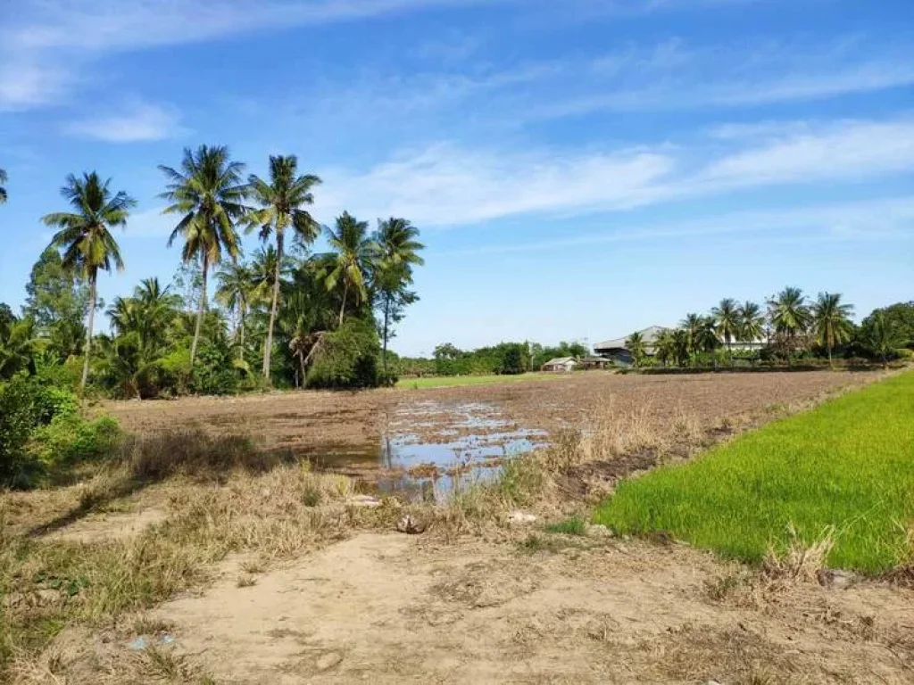 ขายที่ดินติดถนน 2 ด้าน 5 ไร่ บ้านกร่าง ศรีประจันต์ เพียง 26 ล้านเท่านั้น