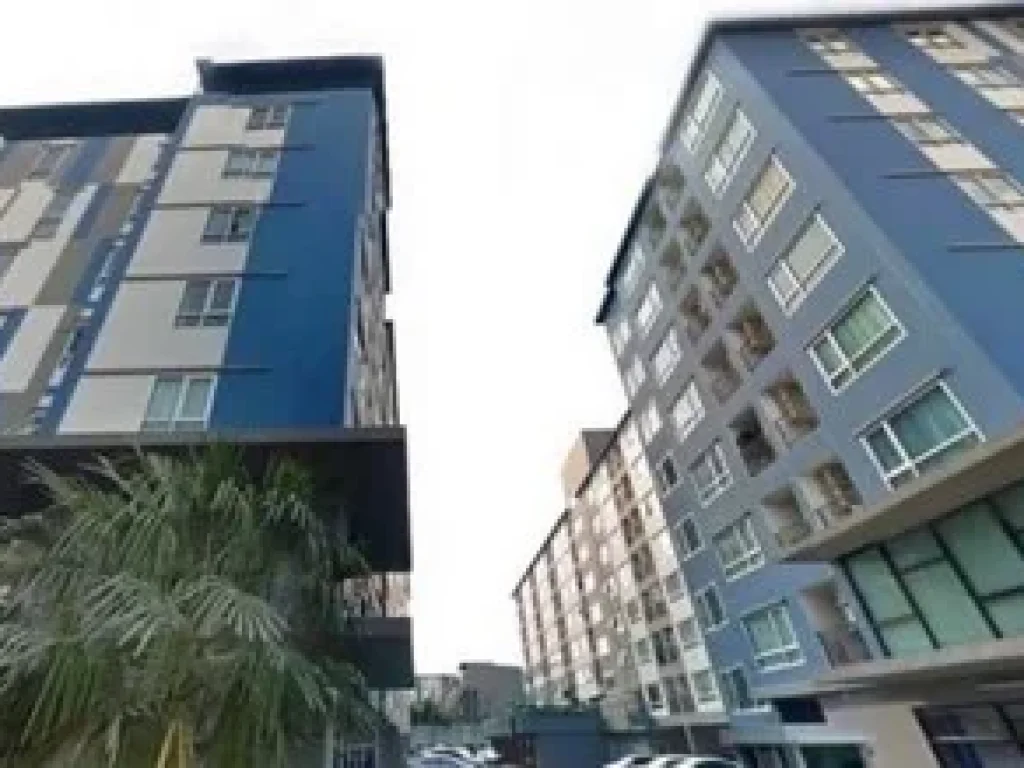 ให้เช่า คอนโด ยู ทู คอนโด You 2 Condo แยกเกษตร - ใกล้ มหาวิทยาลัยเกษตรศาสตร์ มหาวิทยาลัยศรีปทุม