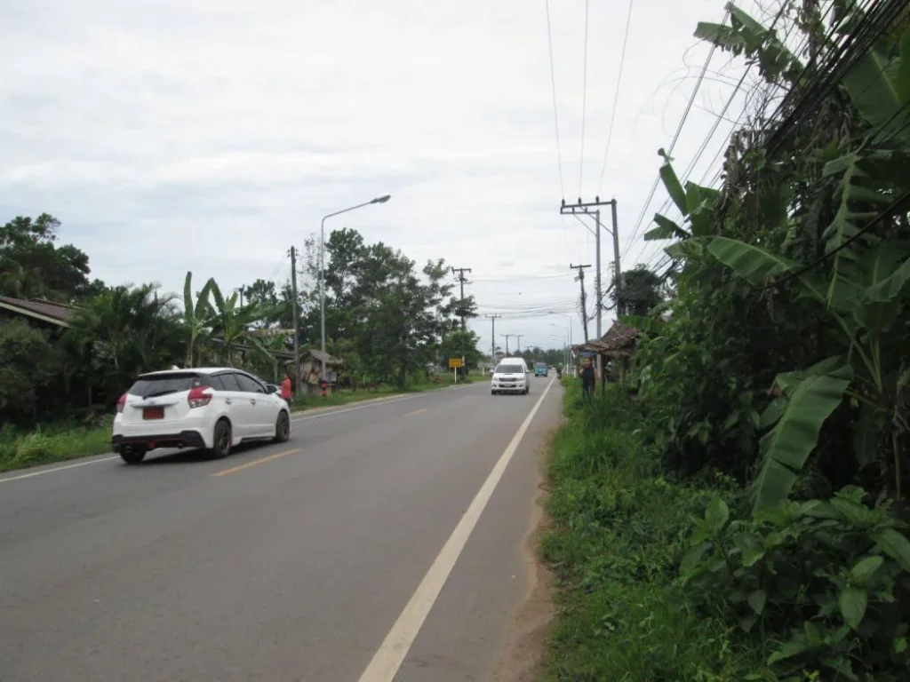 ขายที่ดินติดถนนใหญ่ เมืองชุมพร พร้อมถมให้