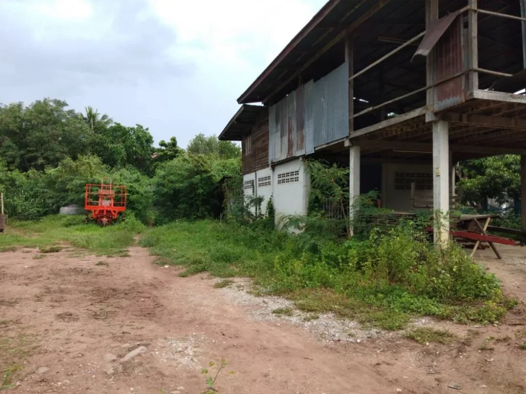 ขายที่ดินสวยในเขตเทศบาลบ้านหญ้านางตบ้านเป้าอเกษตรสมบรูณ์