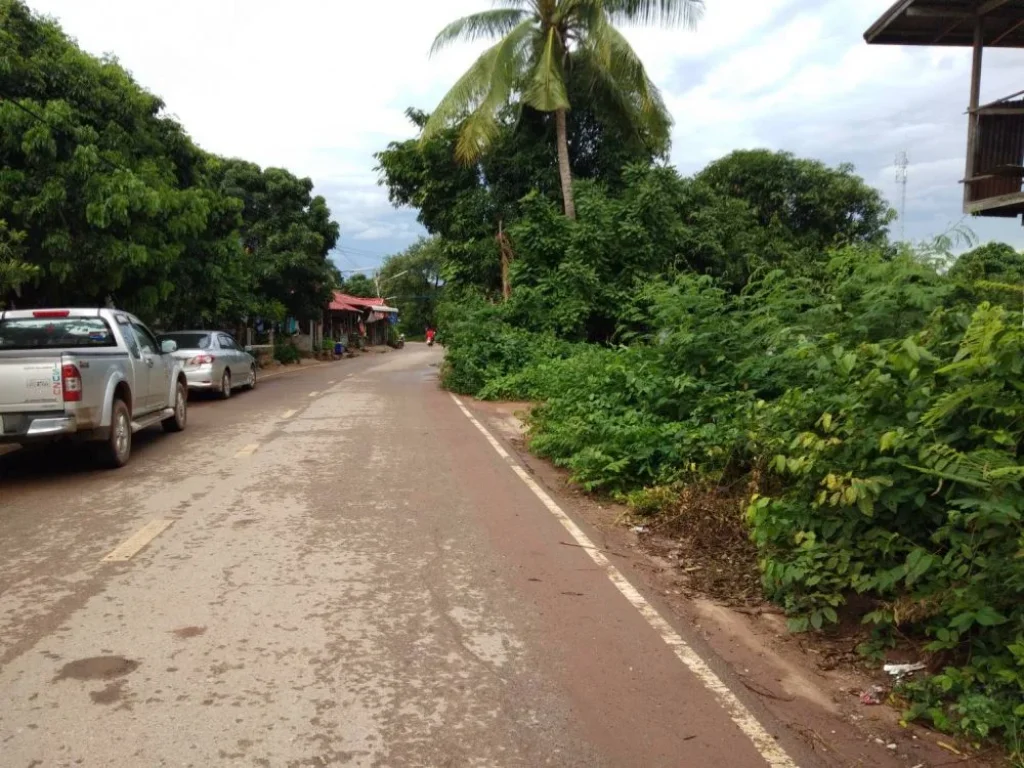 ขายที่ดินสวยในเขตเทศบาลบ้านหญ้านางตบ้านเป้าอเกษตรสมบรูณ์