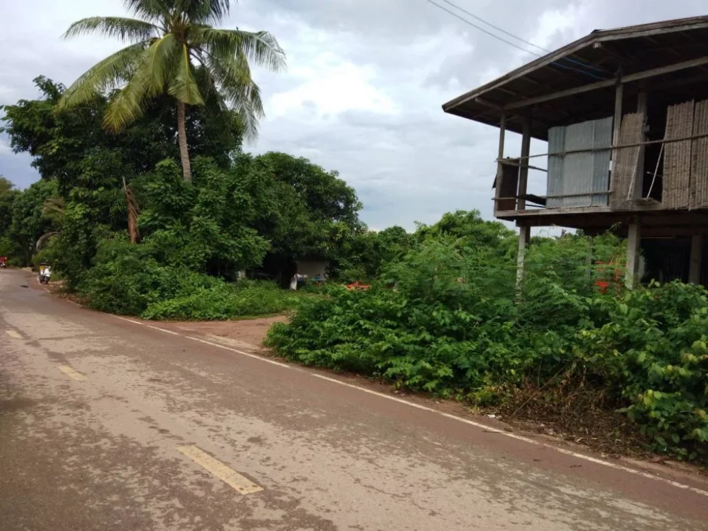 ขายที่ดินสวยในเขตเทศบาลบ้านหญ้านางตบ้านเป้าอเกษตรสมบรูณ์