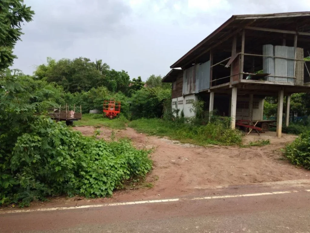 ขายที่ดินสวยในเขตเทศบาลบ้านหญ้านางตบ้านเป้าอเกษตรสมบรูณ์