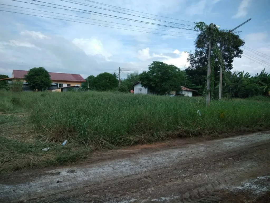 ประกาศขายที่ถมแล้วหน้าที่ติดถนนติดคลอง2งาน30ตรว