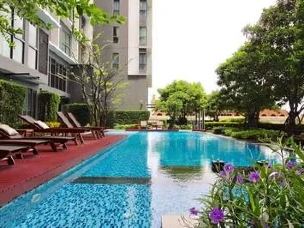 ขายและปล่อยเช่า Condo Ideo Mobi Sukhumvit 81 Duplex room 1 bedroom 1 bathroom area 4357 sqm