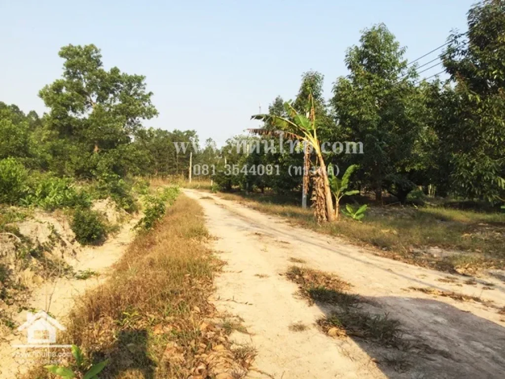 ขายที่ดินเปล่าท่าหลวง-จันทบุรี โฉนด 8-2-95ไร่ ตท่าหลวง อมะขาม จจันทบุรี รหัส L180