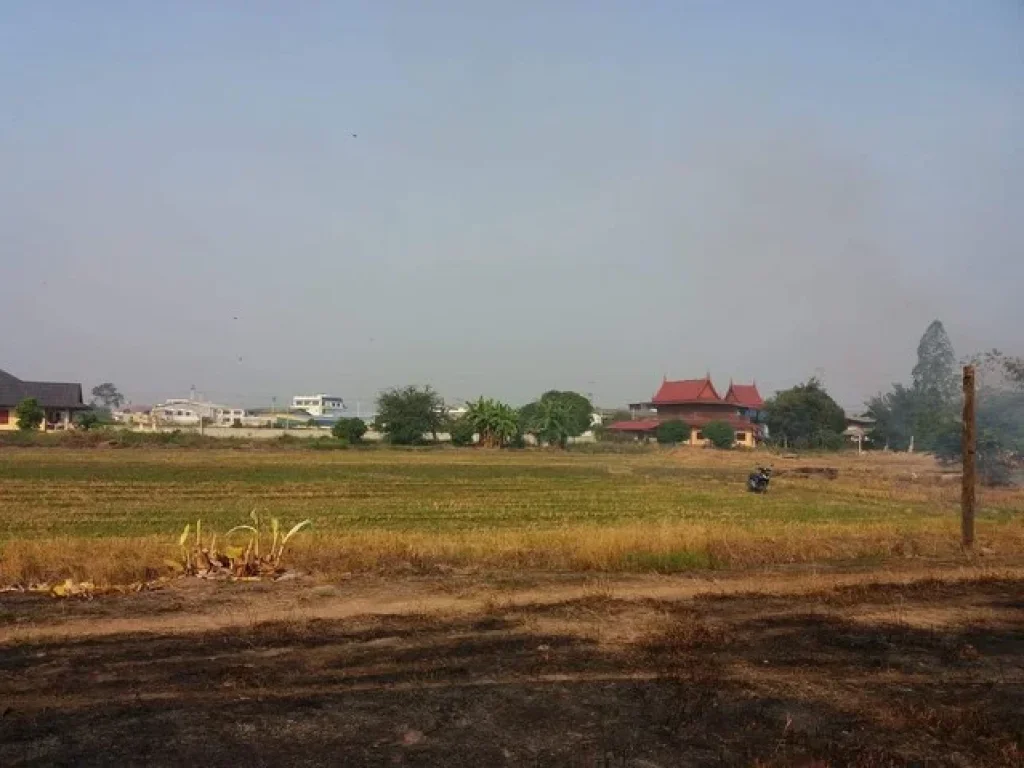 ขายที่ใกล้ที่ทำการอำเภอ วัดดอนเจดีย์ พระบรมราชานุสรณ์ดอนเจดีย์ สุพรรณบุรี