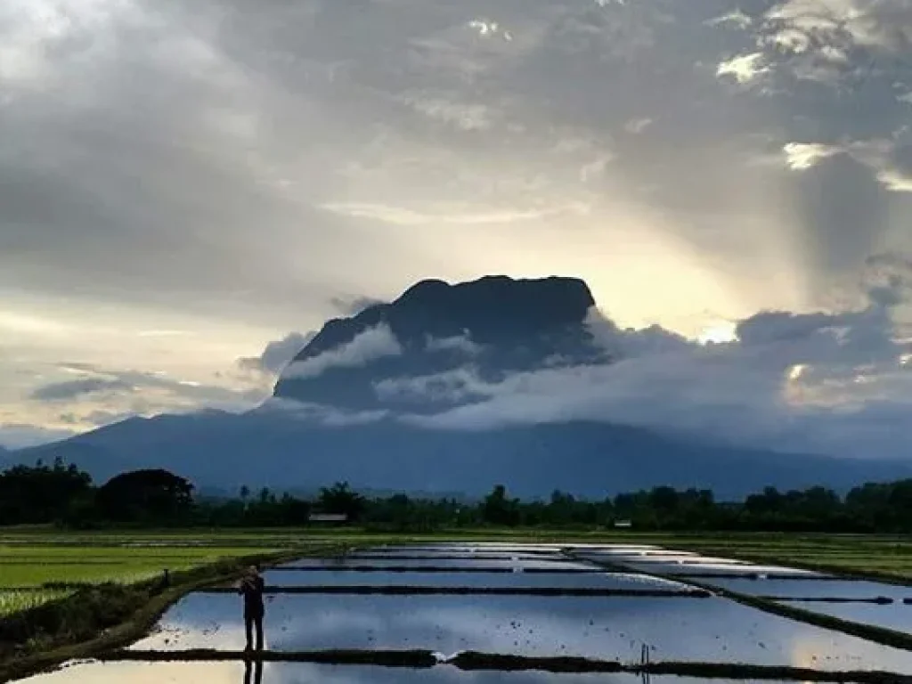 สวยมาก ขายที่ดินอเชียงดาว จังหวัดเชียงใหม่วิวดอยหลวงเชียงดาว เหมาะสำหรับทำรีสอร์ท ปลูกบ้าน ทำสวน