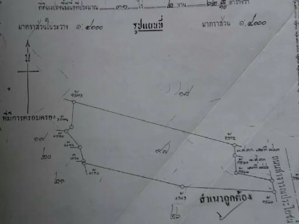 ขายที่ดินพื้นที่ 31 ไร่