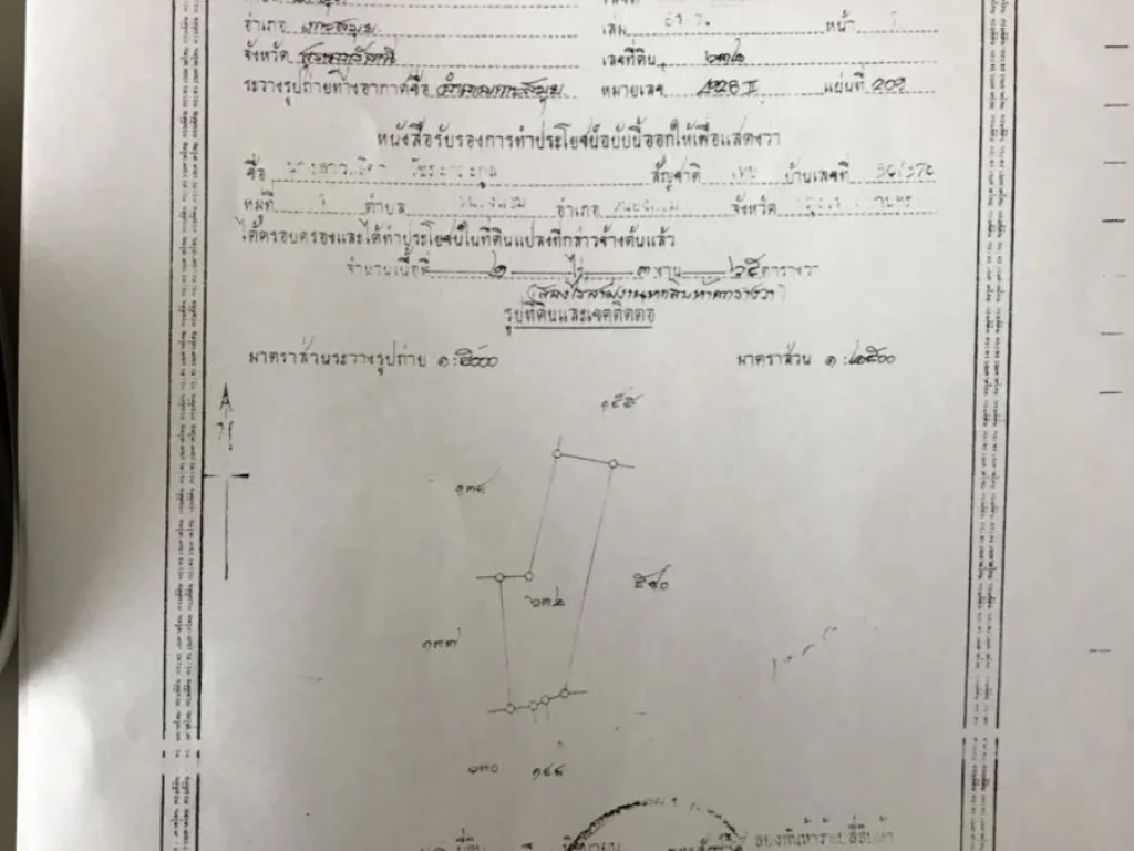 ขายที่ดิน 2-3-64 ไร่ ใกล้ รร novotel สมุย บ่อผุด