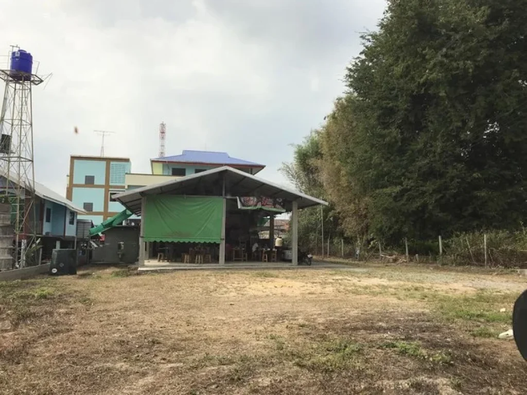 ขายที่ดิน ติดมหาลัยแม่โจ้ เพื่อการลงทุน Land for Sale near Maejo University