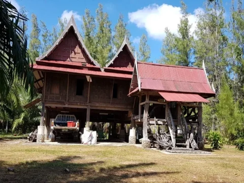 LS-8288 ขายที่ดิน 10 ไร่ พร้อมบ้านเรือนไทย บนเกาะยาวใหญ่ จังหวัดพังงา ติดกับคลองท่าเรือบ้านทับใต้