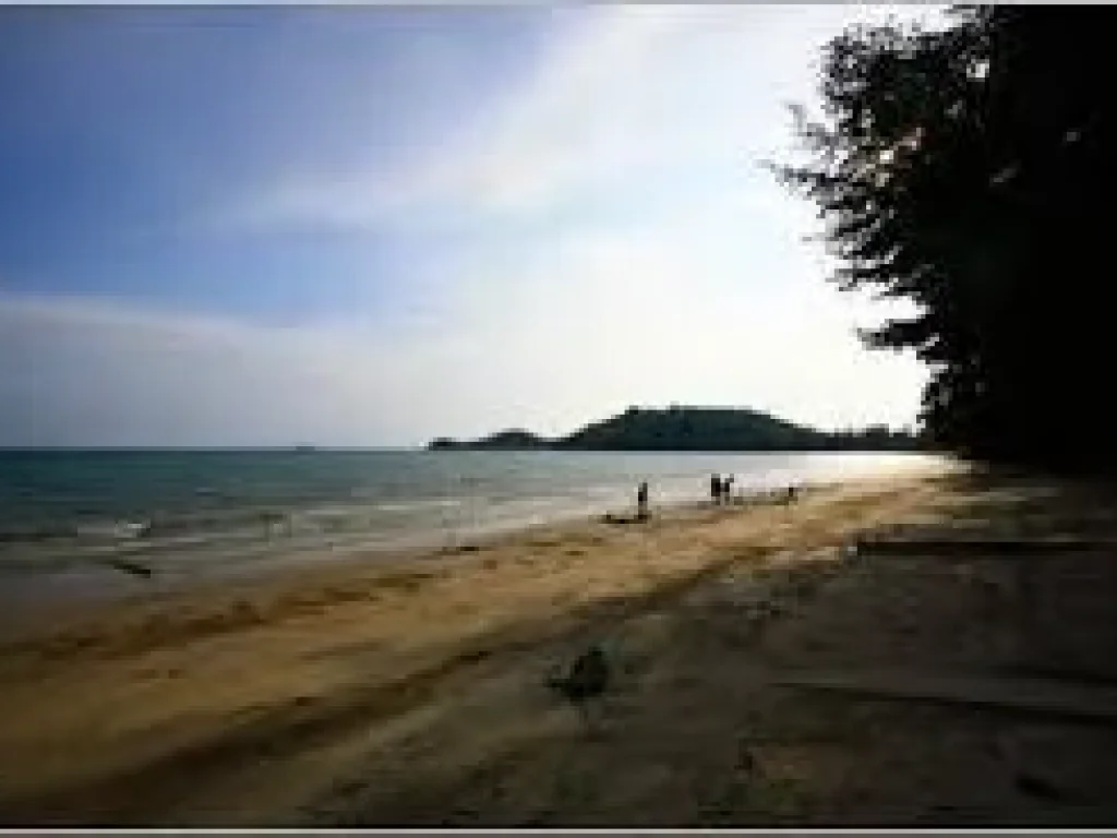 ขายที่ดินติดทะเล หาดพลาบ้านฉาง ใกล้สนามบินอู่ตะเภา 25 ไร่