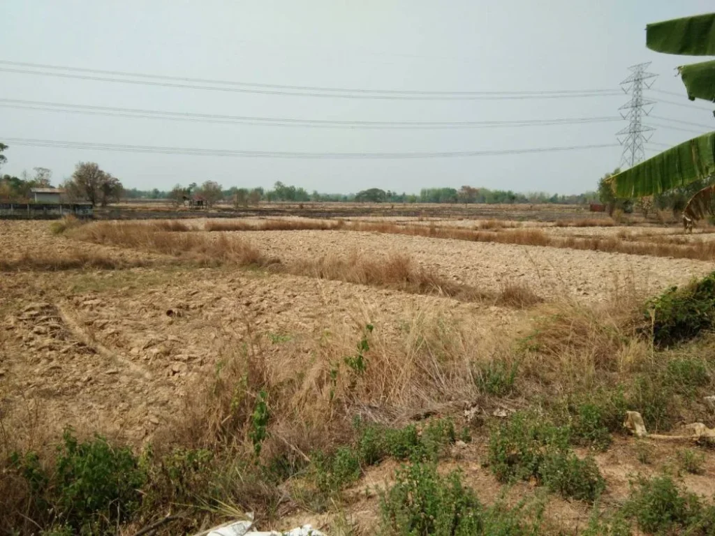 ขายที่ดิน 10 ไร่ ฟรีค่าโอน ติดถนน อำเภอเพ็ญ จังหวัดอุดรธานี เจ้าของขายเอง