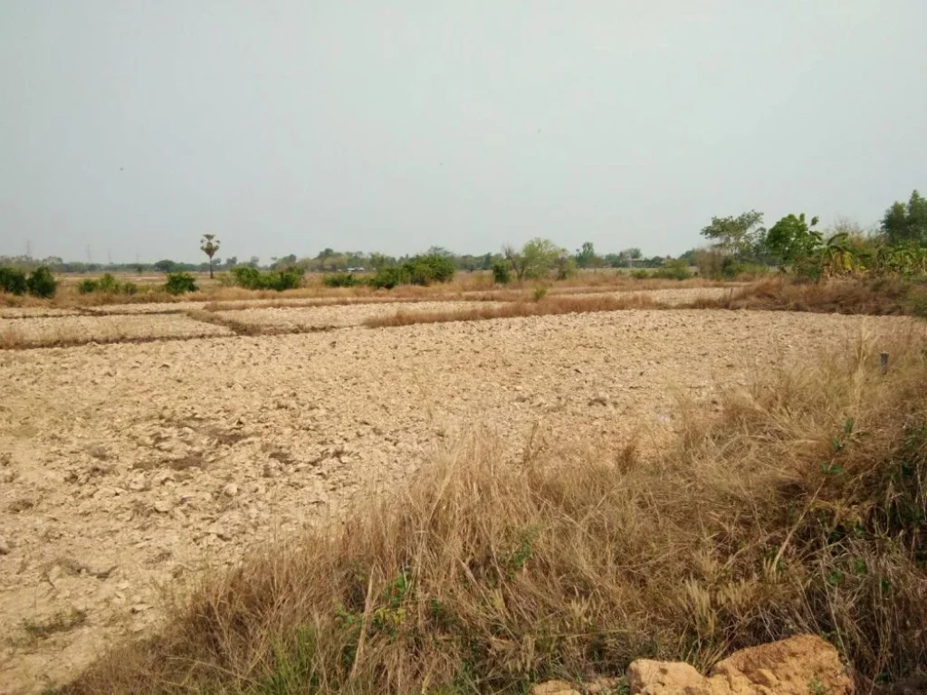 ขายที่ดิน 10 ไร่ ฟรีค่าโอน ติดถนน อำเภอเพ็ญ จังหวัดอุดรธานี เจ้าของขายเอง