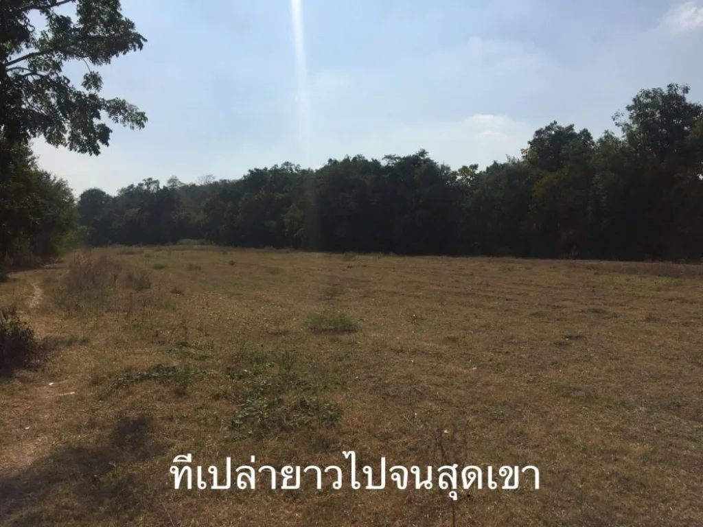 ขายที่ดินติดภูเขา 26ไร่ ตชำแระ อโพธาราม จราชบุรี พร้อมบ้านใหม่