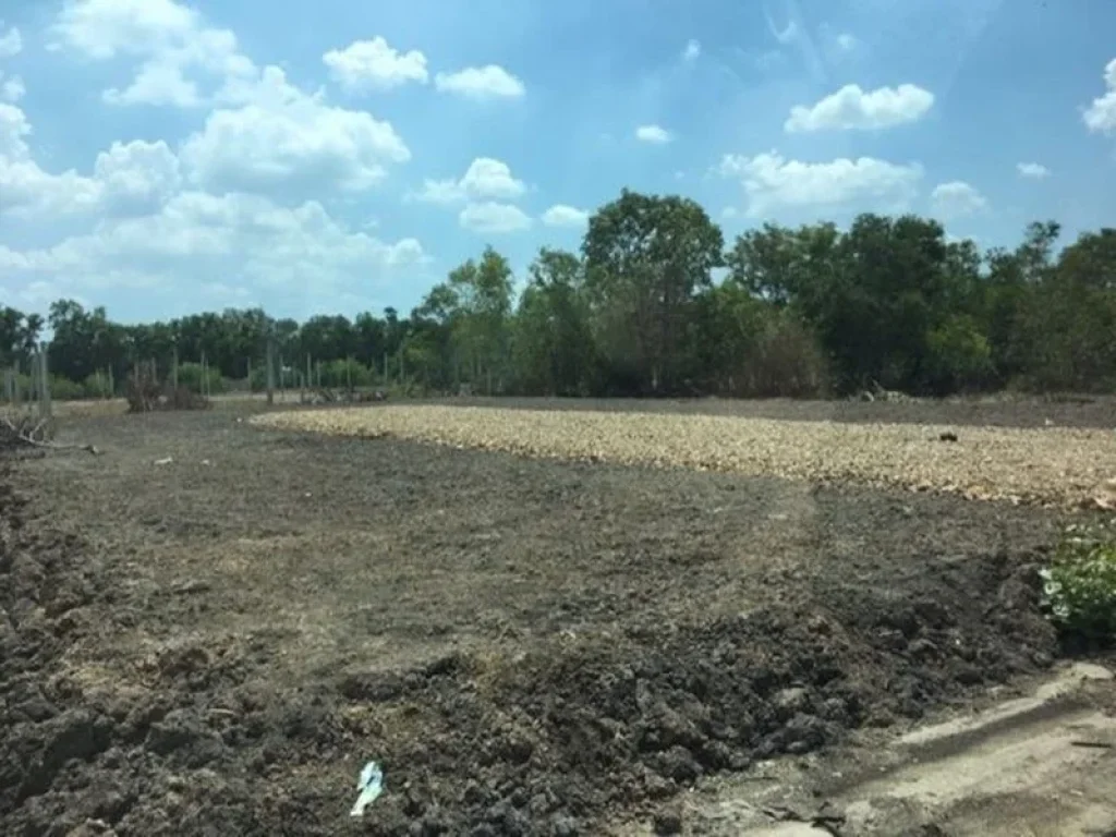 ขาย ที่ดิน 200 ตรว ซเอราวัณ 17 คลองสอง คลองหลวง ปทุมธานี