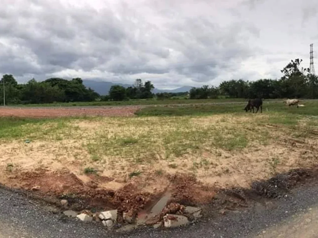 ขายที่ดินห่างเซ็นเฟส 58 km ราคาถูก