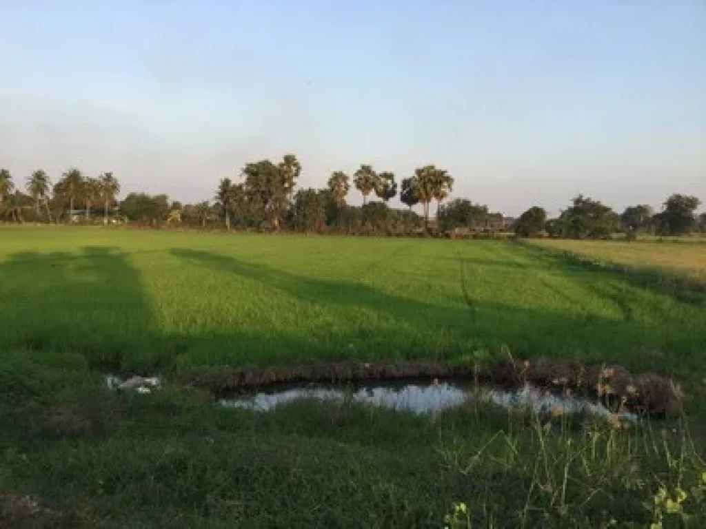 ขายที่ดินเกือบ 8 ไร่ขายเหมายกแปลง 4 ล้าน อำเภอเมือง จังหวัดสุพรรณบุรี