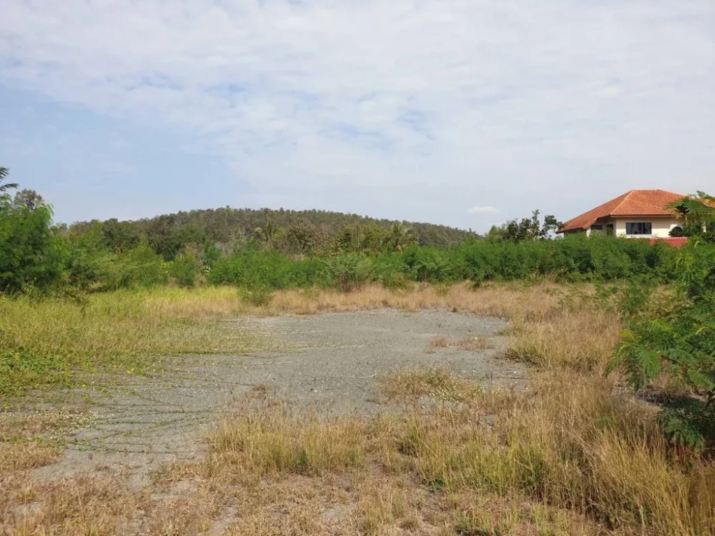 ที่ดินแปลงสวย หลังวิวเขา หน้าน้ำคลองชลประทาน โซนดอยสะเก็ด เชียงใหม่