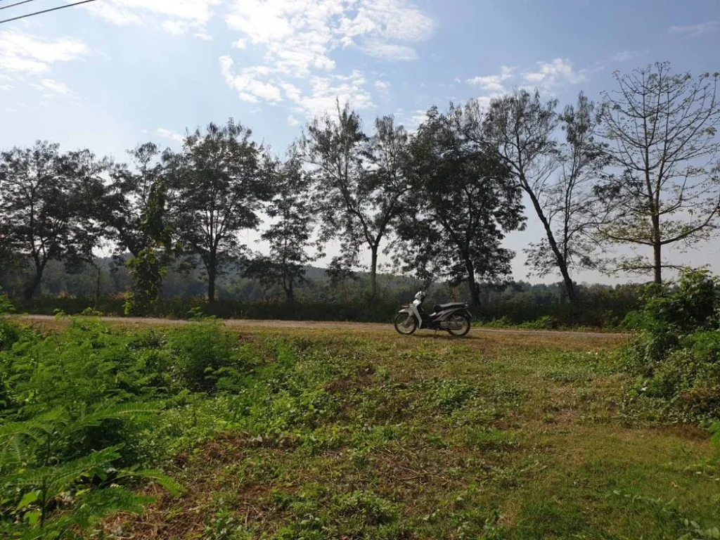 ที่ดินแปลงสวย หลังวิวเขา หน้าน้ำคลองชลประทาน โซนดอยสะเก็ด เชียงใหม่