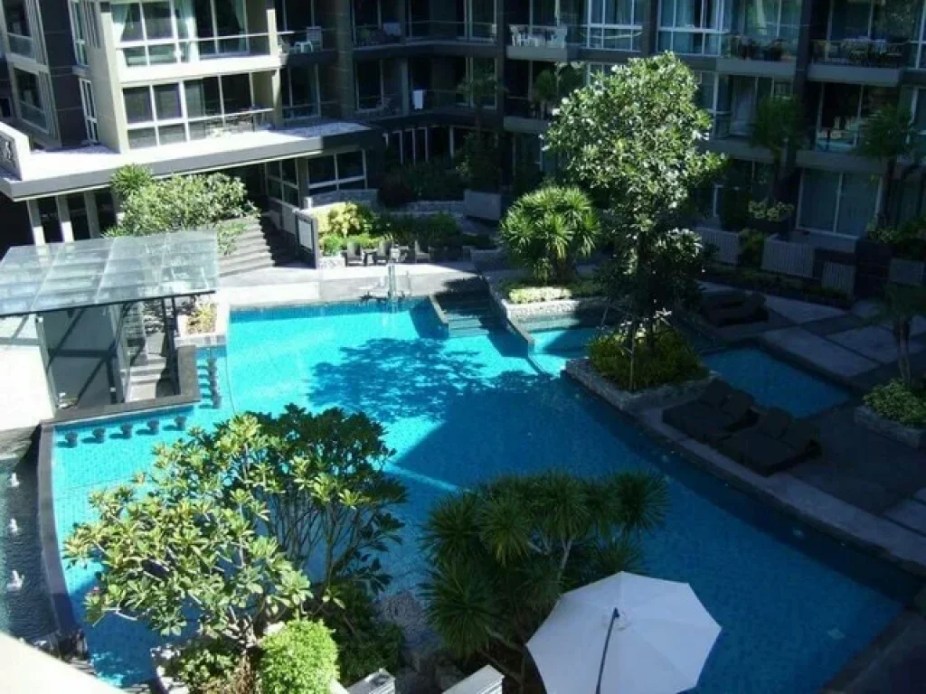 Apus Condo Pattaya Center- เอปัส พัทยากลาง ขาย 459 ล พร้อมผู้เช่า