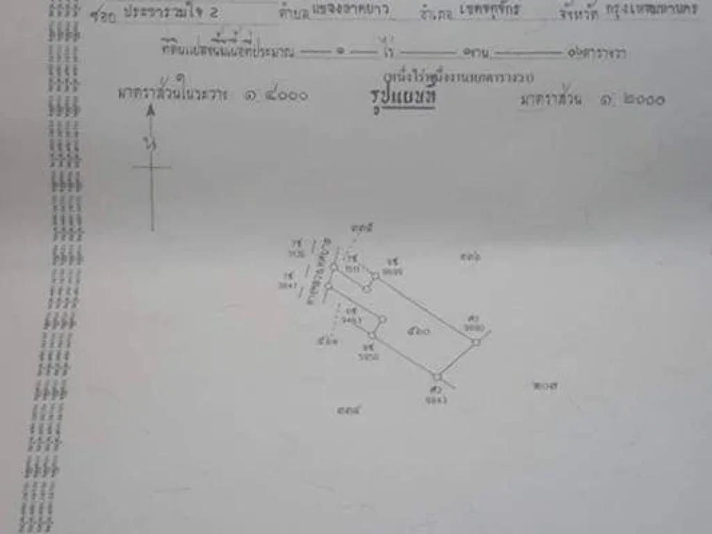 ด่วน ขายที่ดิน