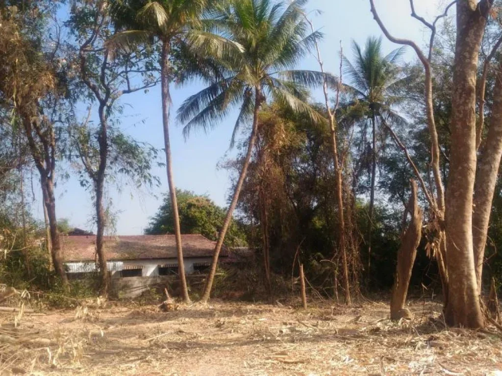 Land for Sale - ที่ดินใกล้กับโรงพยาบาลวารินชำราบ