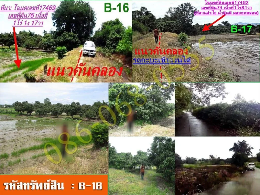 ที่ดิน 4 แปลง ตสันมหาพน อแม่แตง จเชียงใหม่