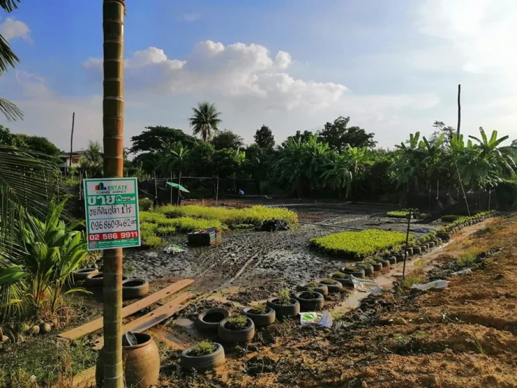 ขาย ที่ดินเปล่า 1 ไร่ ซสันติธรรม2 บางใหญ่ นนทบุรี