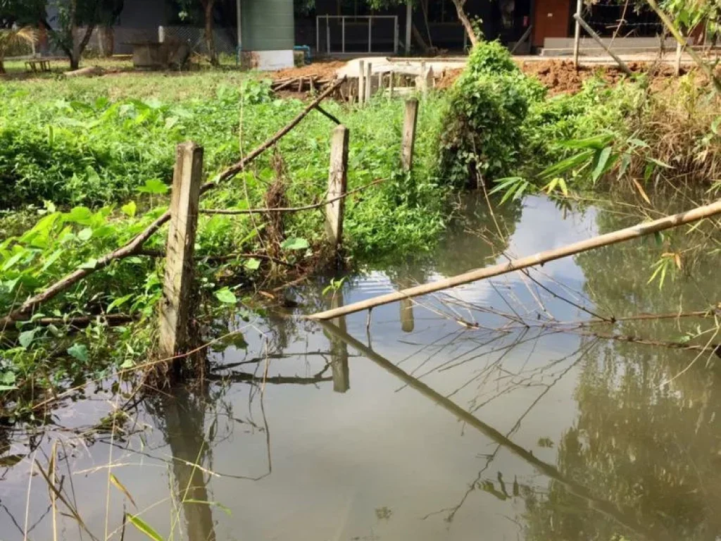 ขายที่ดินติดลำธาร สำหรับสร้างบ้านพักตากอากาศ วิวภูเขา