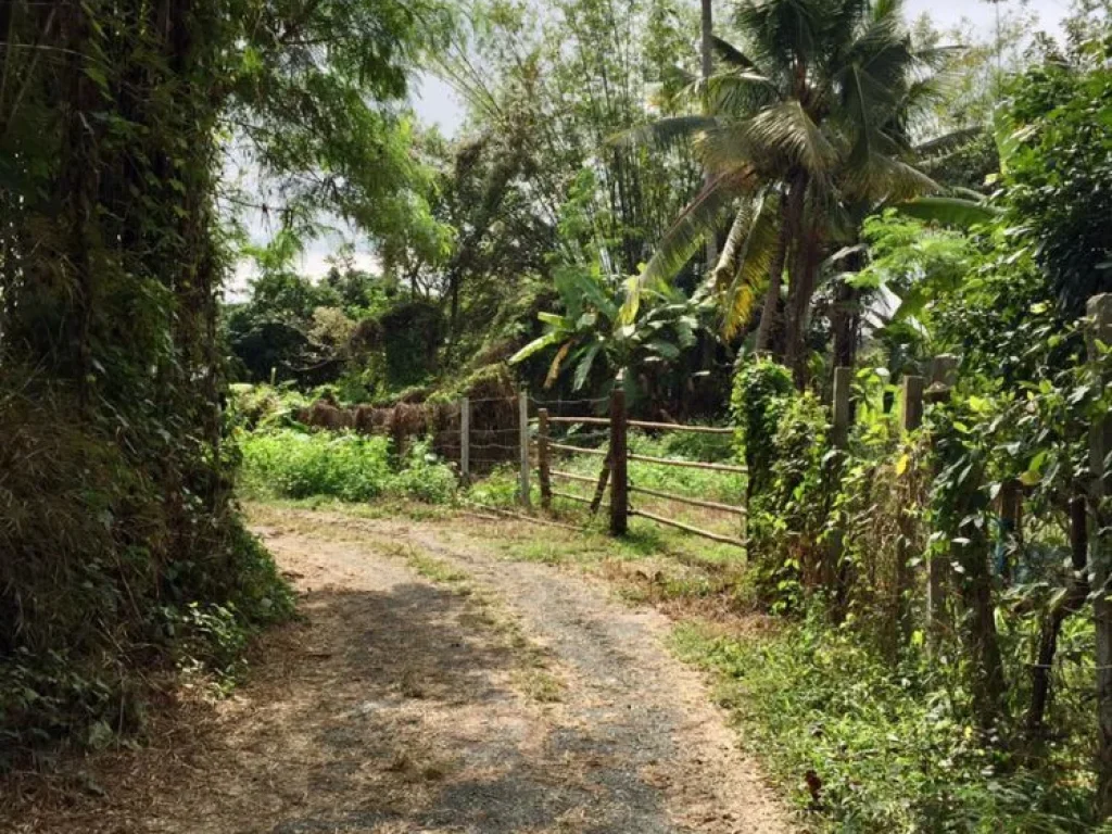 ขายที่ดินติดลำธาร สำหรับสร้างบ้านพักตากอากาศ วิวภูเขา