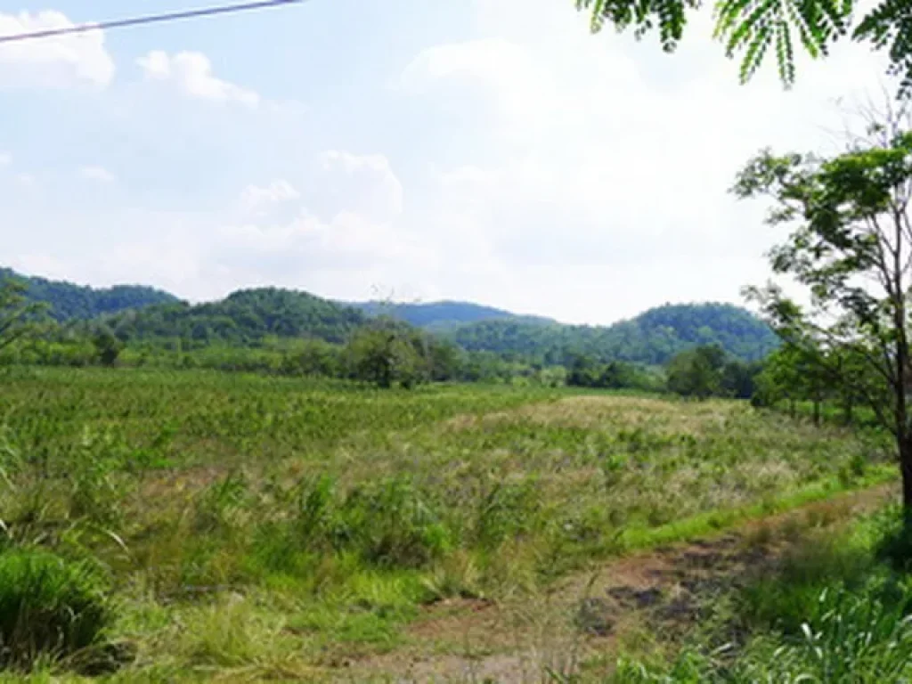 ที่ดิน สระบุรี-แก่งคอย ถนนมิตรภาพ อแก่งคอย จสระบุรี