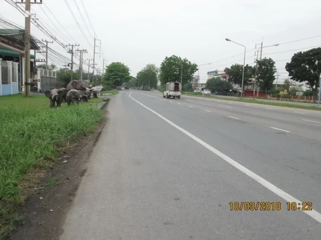 ที่ดิน ลาดหลุมแก้ว ถนน ตลิ่งชัน  สุพรรณบุรี อลาดหลุมแก้ว จปทุมธานี