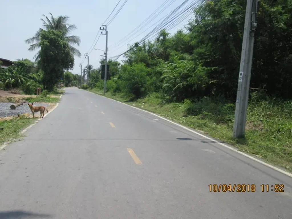 ที่ดิน ใกล้วัดเสาธงหิน ถนนกาญจนาภิเษก อบางใหญ่ จนนทบุรี