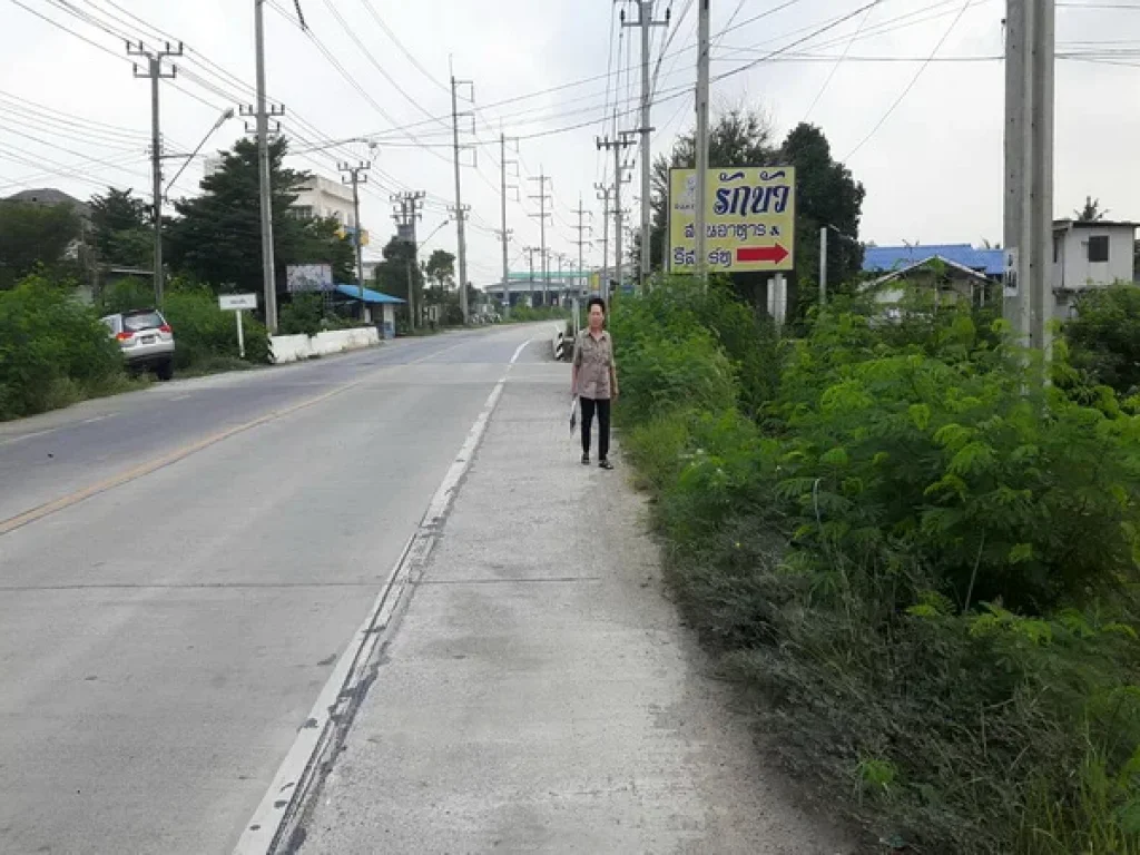 ที่ดิน หนองเพรางาย ไทรน้อย ถนนกาญจนาภิเษก อบางบัวทอง จนนทบุรี