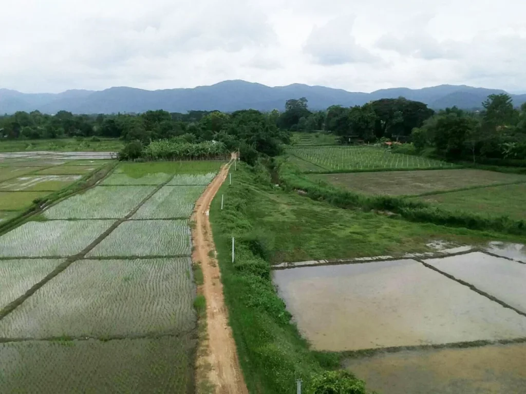 ที่นาวิวภูเขาล้อม ดอยสะเก็ด เชียงใหม่