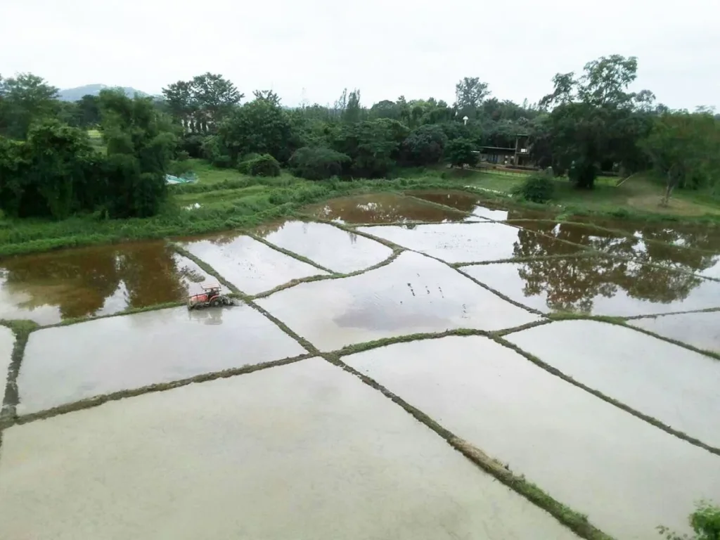 ที่นาวิวภูเขาล้อม ดอยสะเก็ด เชียงใหม่