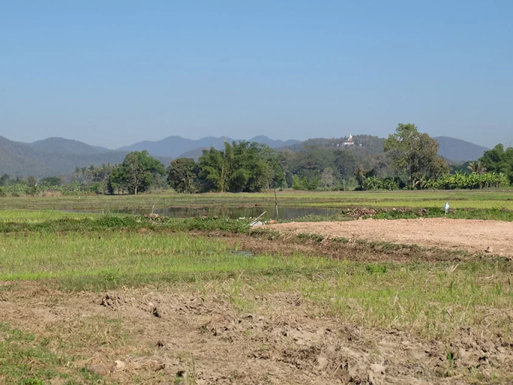 ที่นาวิวภูเขาล้อม ดอยสะเก็ด เชียงใหม่