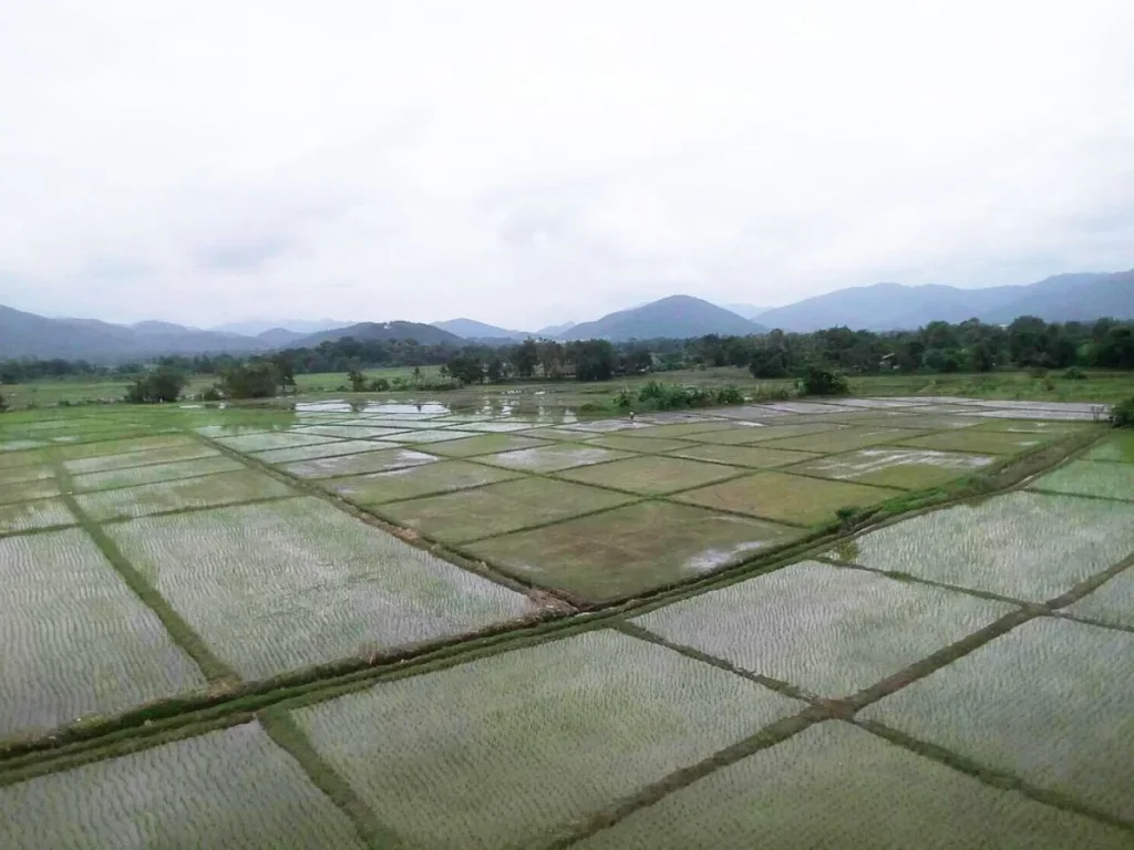 ที่นาวิวภูเขาล้อม ดอยสะเก็ด เชียงใหม่